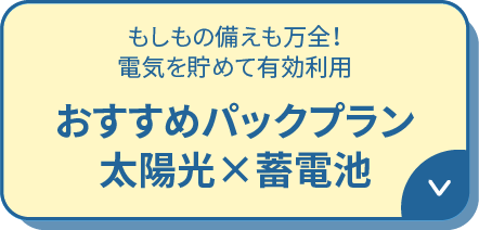 もしもの備えも万全！電気を貯めて有効利用おすすめパックプラン太陽光×蓄電池