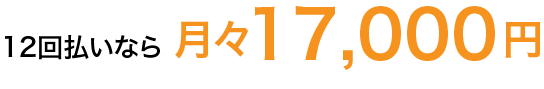 12回払いなら月々17,000円