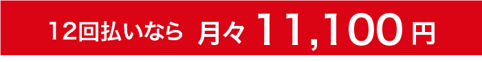 12回払いなら月々11,100円