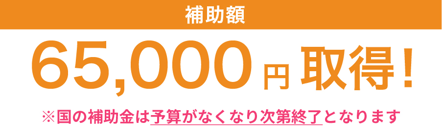 最 大65,000円取得！ ※国の補助金は予算がなくなり次第終了となります